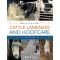 Cattle Lameness and Hoofcare 3rd Edition, image 